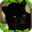 Icon of program: Panther Simulator
