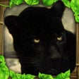 Ikon program: Panther Simulator