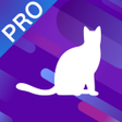 Ícone do programa: 蓝猫VPN -  3秒急速连接的VPN