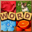 Programikonen: 4 Pics Puzzle Guess 1 Wor…