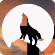 Programikonen: Werewolf -In a Cloudy Vil…