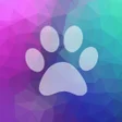 Ikon program: Dogres