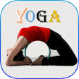 Daily Yoga - Pose  Workout