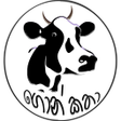 Programikonen: Gon katha Supiri Sinhala …