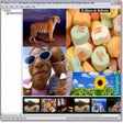 Icon of program: Fotana