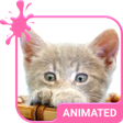 Pretty Kitty Animated Keyboard