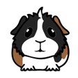 Ikona programu: My Guinea Pigs: Reliable …