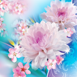 Иконка программы: Flowers Live Wallpaper