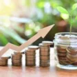 Programikonen: Compound Interest