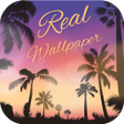 Programikonen: Real Wallpaper
