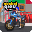Programikonen: Pocket Grau - Online