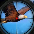 Programikonen: Bird Hunting 2020: Free G…