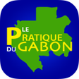 Programikonen: Annuaire Le Pratique du G…