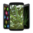 Icon of program: Weed HD Wallpapers and Ba…