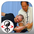 プログラムのアイコン：Tai Chi Martial Applicati…
