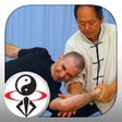 Icon of program: Tai Chi Martial Applications