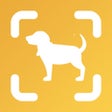 أيقونة البرنامج: Dog Scan - Breed Identifi…