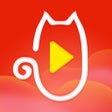 Programikonen: 祝福猫视频