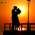 Programikonen: How To Know If A Guy Like…