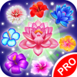 程序图标：Flowers Blast 2020  Bloss…