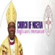程序图标：Church of Nigeria  The An…