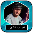 Icon of program: نجیب کشمی