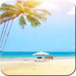 Icona del programma: Summer Wallpaper