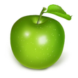 プログラムのアイコン：Vitamins and Minerals (Da…