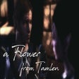 Icon of program: A Flower from Tamlen - Da…