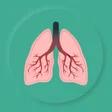 Icoon van programma: Lungs Breathing Exercise …