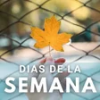 プログラムのアイコン：Frases Feliz Dia De La Se…