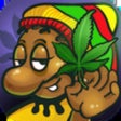 Icoon van programma: Ganja Farm - Weed empire