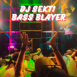 プログラムのアイコン：Dj Sekti Bass Blayer