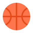 程序图标：College Hoops Coach