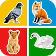程序图标：Learning for Kids: Flashc…