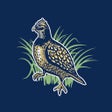 Ikona programu: Quail Tools