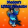 STAGE 25 Shadows Lifting Simulator