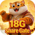 程序图标：18G Snare Gate