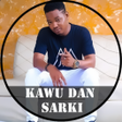 Programikonen: Kawu Dan Sarki All Songs