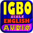 プログラムのアイコン：Igbo Bible