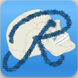 Internet Resurrector icon