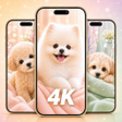 Icon of program: Dog Wallpapers  Cute Pupp…