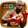 Иконка программы: Boxing Day