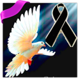 程序图标：Mourning Quotes