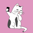 Icon of program: Cat Snaps - Photo Selfies…