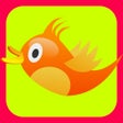 Programikonen: Brain Teasers Fun Games T…