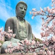Biểu tượng của chương trình: Buddhism HD Wallpapers Ne…