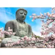 Buddhism HD Wallpapers New Tab