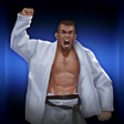 Programikonen: BeJJ: Jiu-Jitsu Game  Bet…