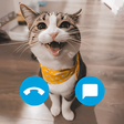 Ikon program: cat fake call